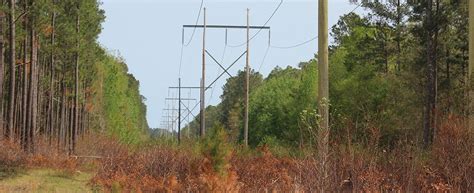 New Bern’s Department of Public Utilities requests rate increase .